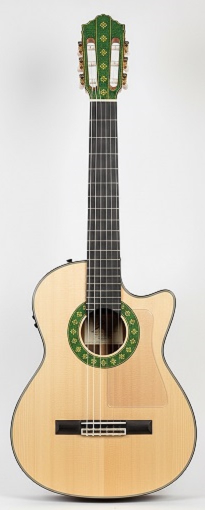 Green Rosetta Guitar